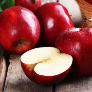 Red Delicious Apple | Malus 'red delicious'