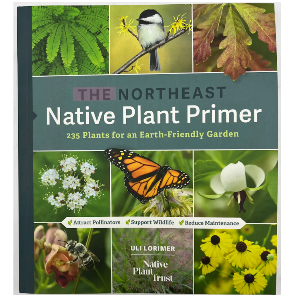 The Northeast Native Plant Primer - Uli Lorimer