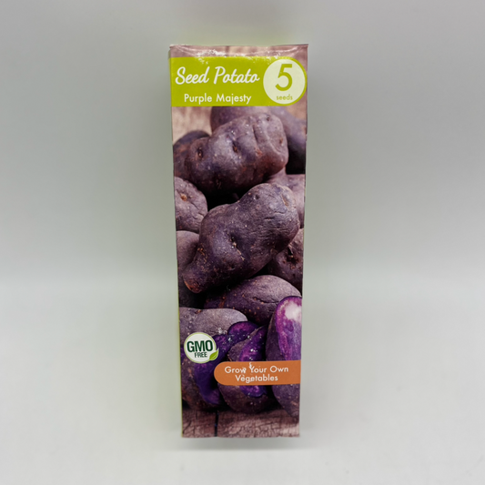 Seed Potato - Purple Majesty - 5 Seeds