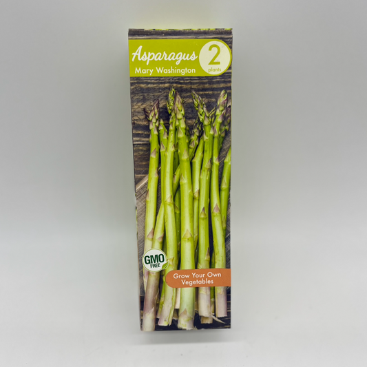 Asparagus - Mary Washington | 2 Bulbs
