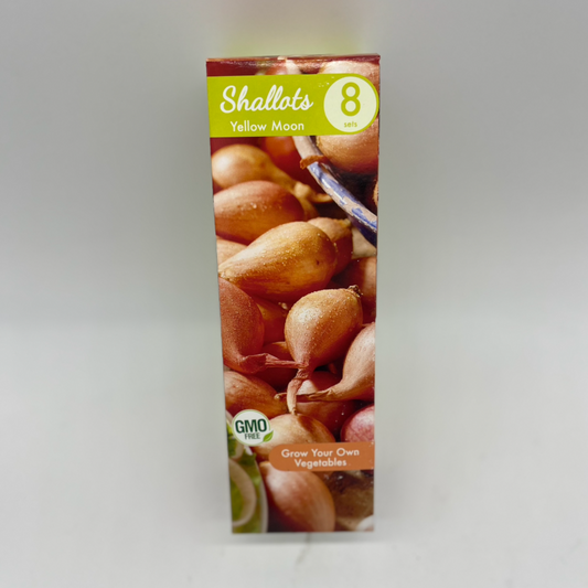Shallot - Yellow Moon | 8 seeds