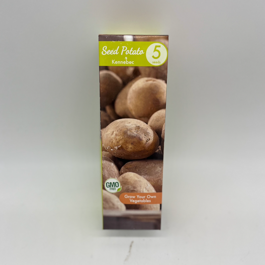Seed Potato- Kennebec - 5 Seeds