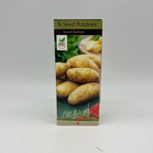 Seed Potato - Russet Burbank - 6 Bulbs