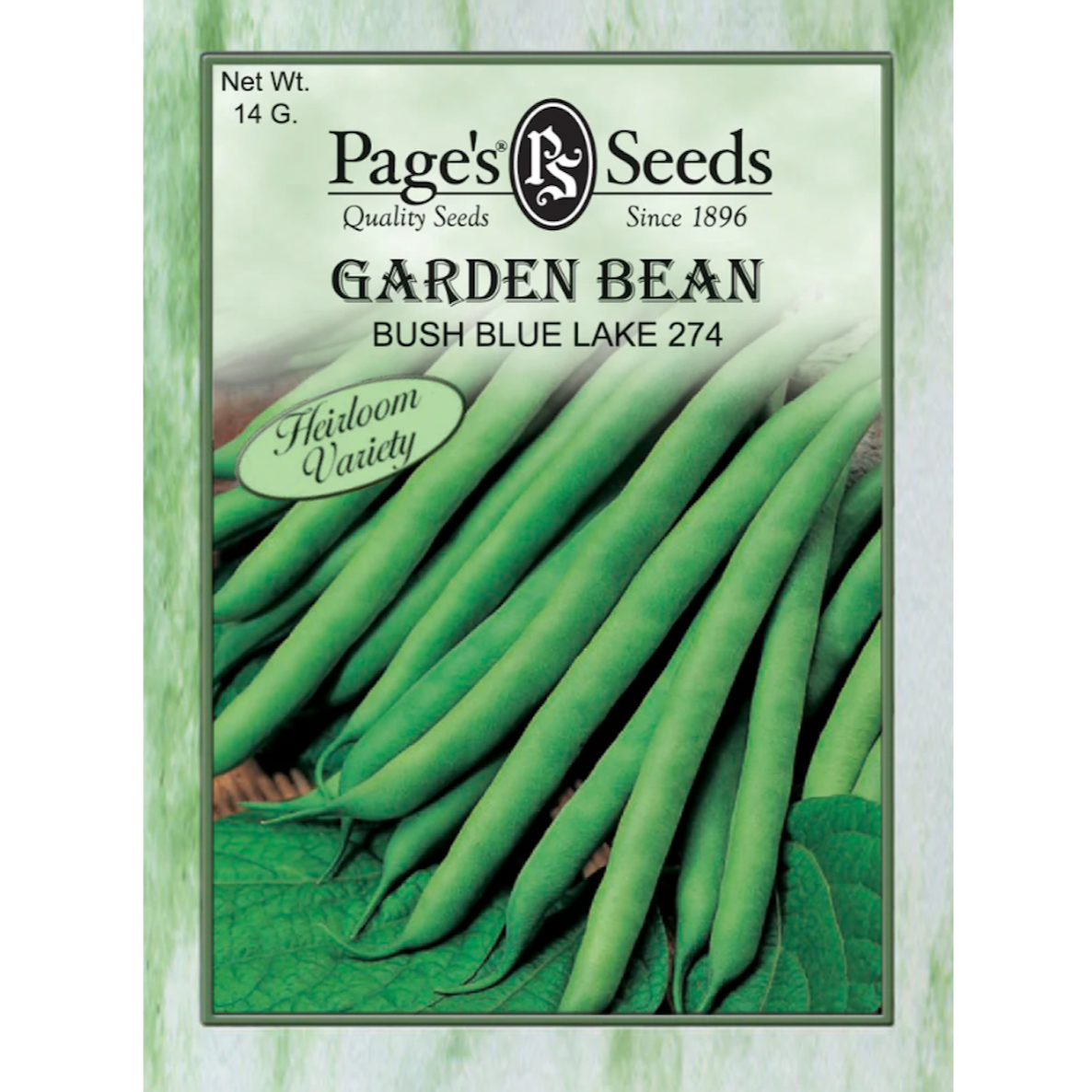 Seeds - Garden Bean - Bush Blue Lake