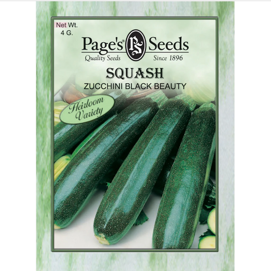 Squash - Black Beauty Zucchini Seeds