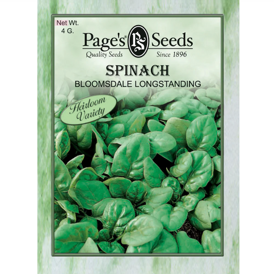 Spinach, Bloomsdale Longstanding
