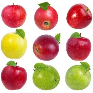 4n1 Apple | Malus domestica '4n1'