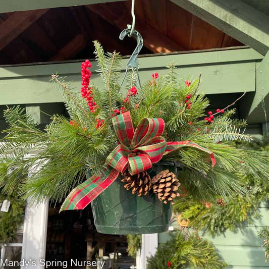 Holiday Hanging Basket (Mixed Greens & Berries)