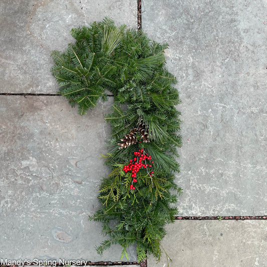 Mixed Greens Candy Cane