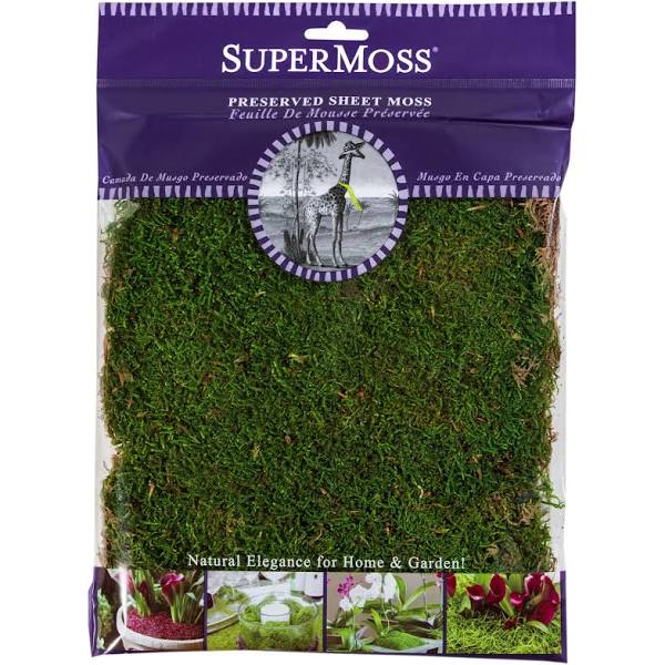 Bagged Sheet Moss