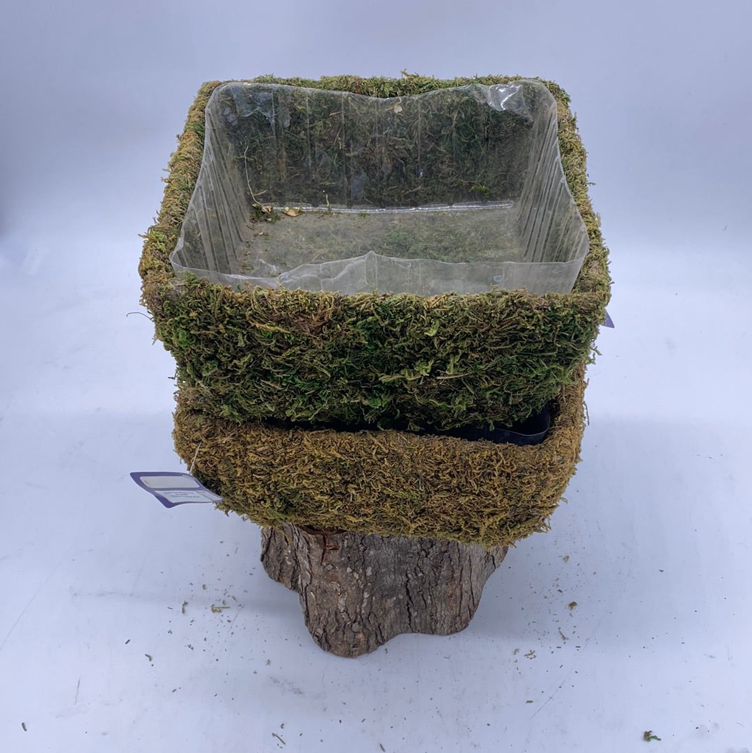 Moss lined pot -Deco Basket