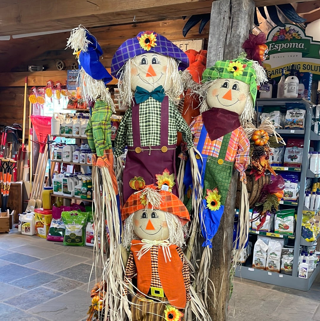 Assorted Staked Scarecrow – Mandy Spring Farm Nursery, Inc.
