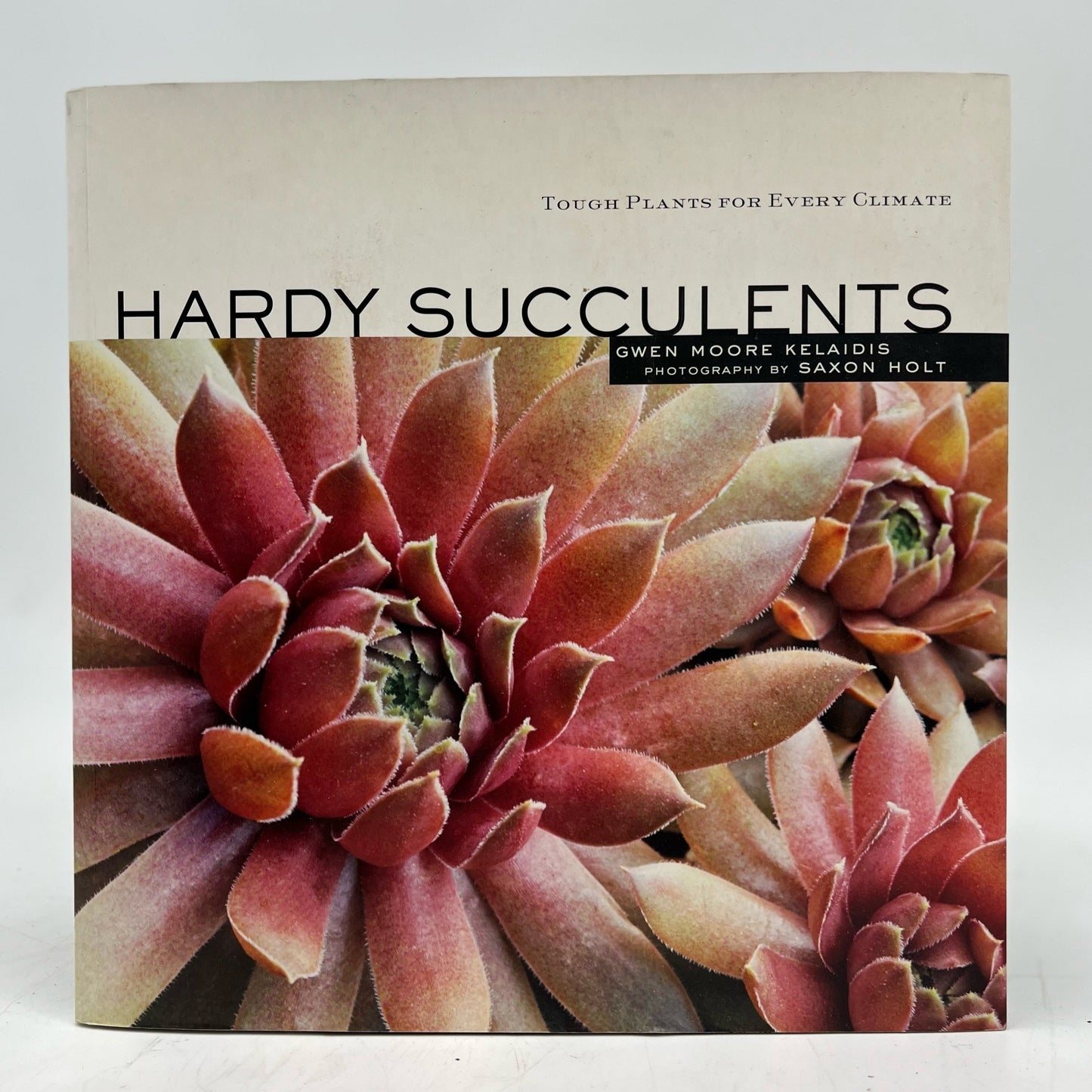 Hardy Succulents -  Gwen Moore Kelaidis