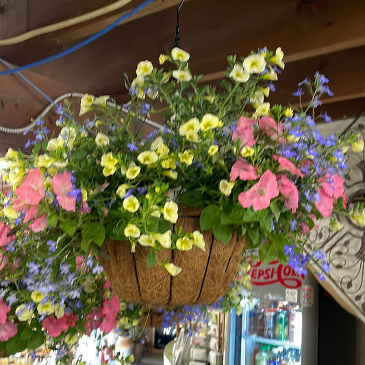 Assorted Annual Hanging Basket-Coco Liner w/ Wire Basket