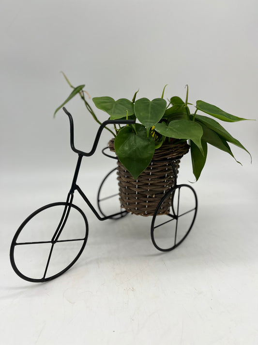 Bicycle Planter w Wicker Basket