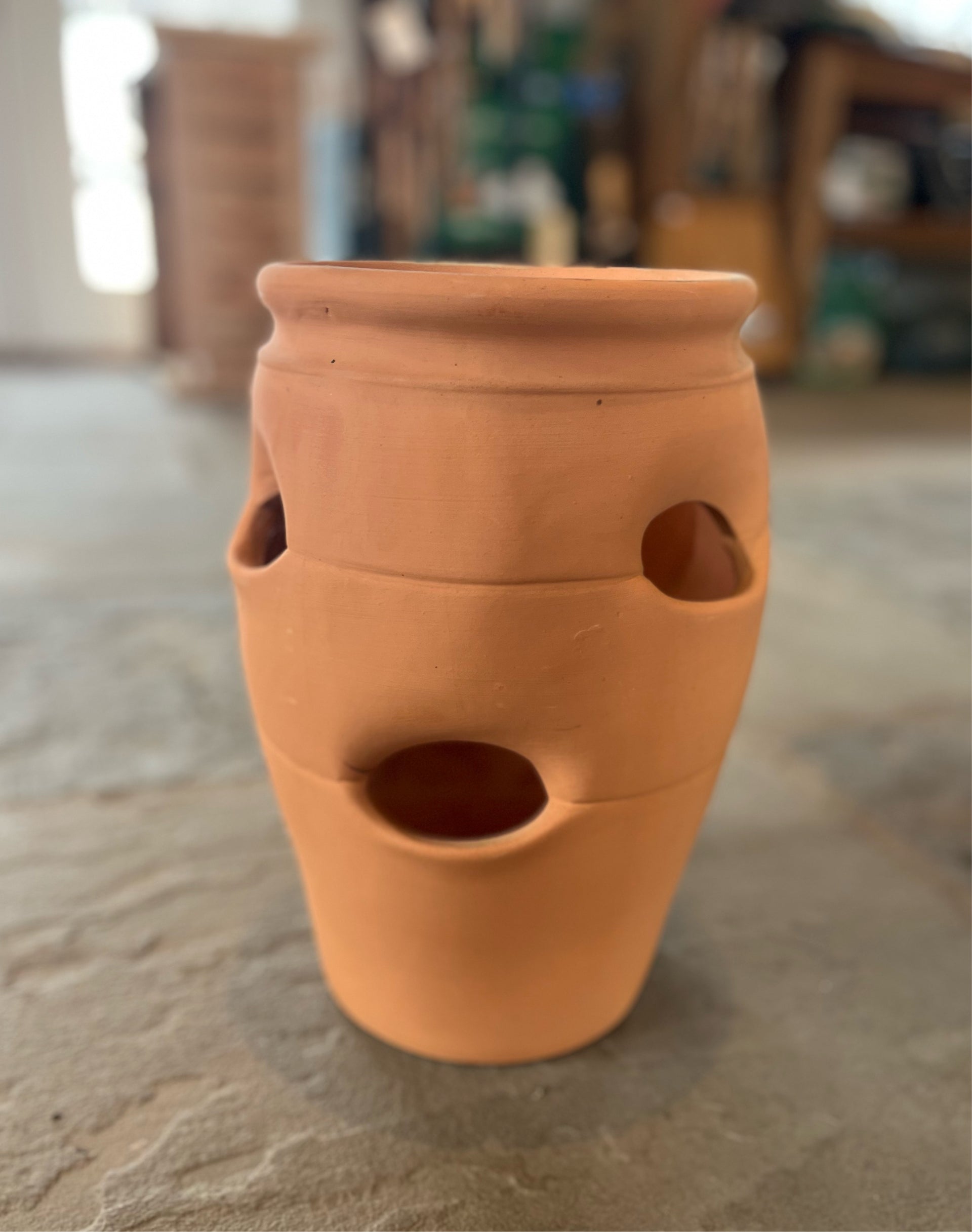 strawberry plant pot terracotta Strawberry Jar Terracotta Planter