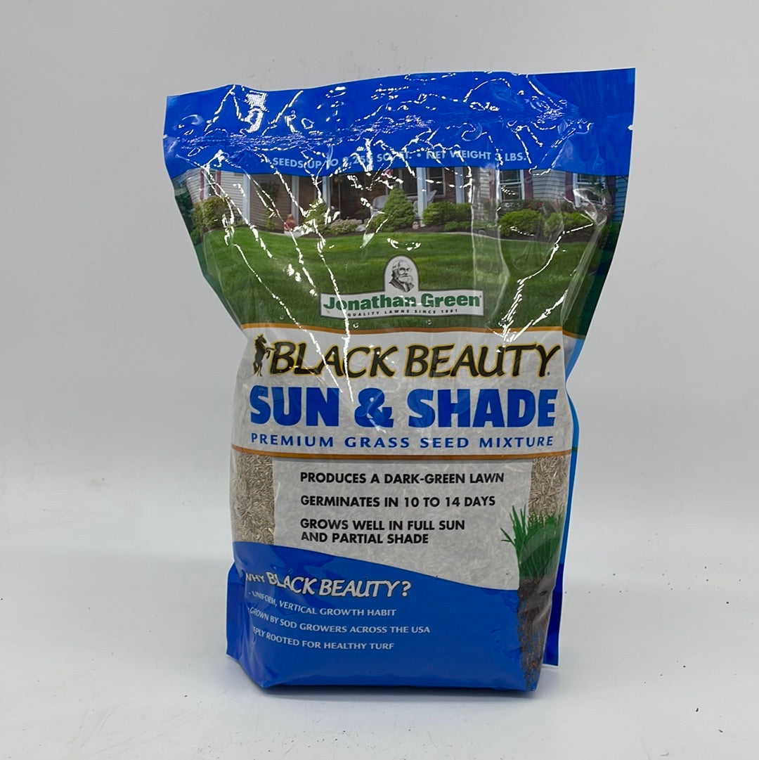 Black Beauty Sun and Shade Grass Seed