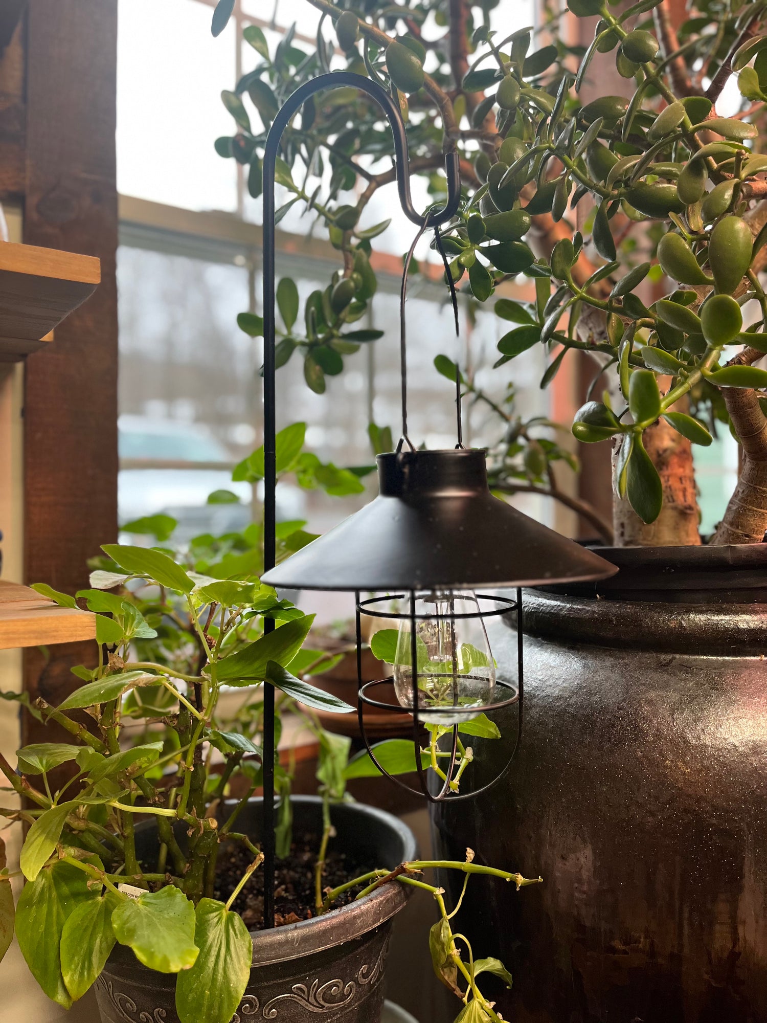 Solar Lantern Stake – Mandy Spring Farm Nursery, Inc.