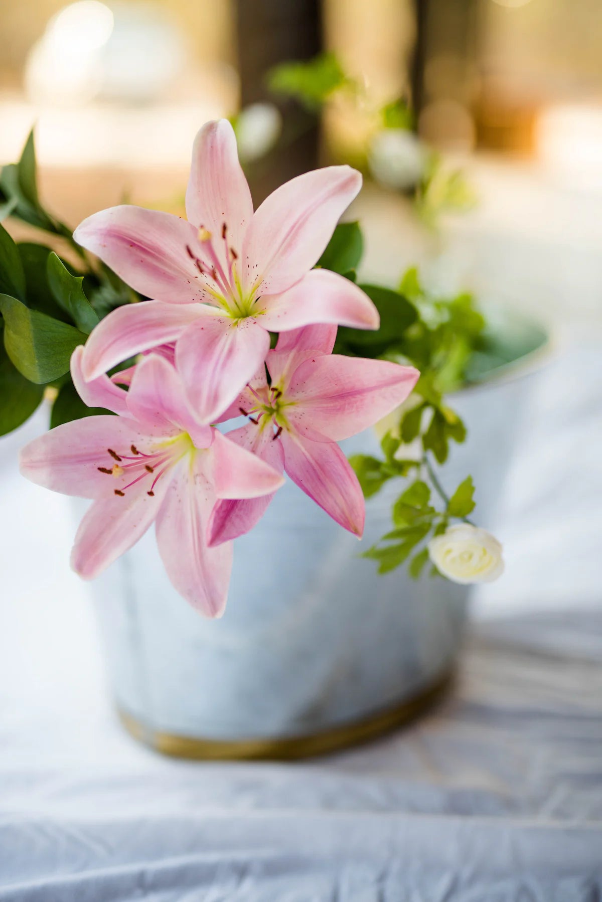 Bulbs - Oriental Lily Mixture