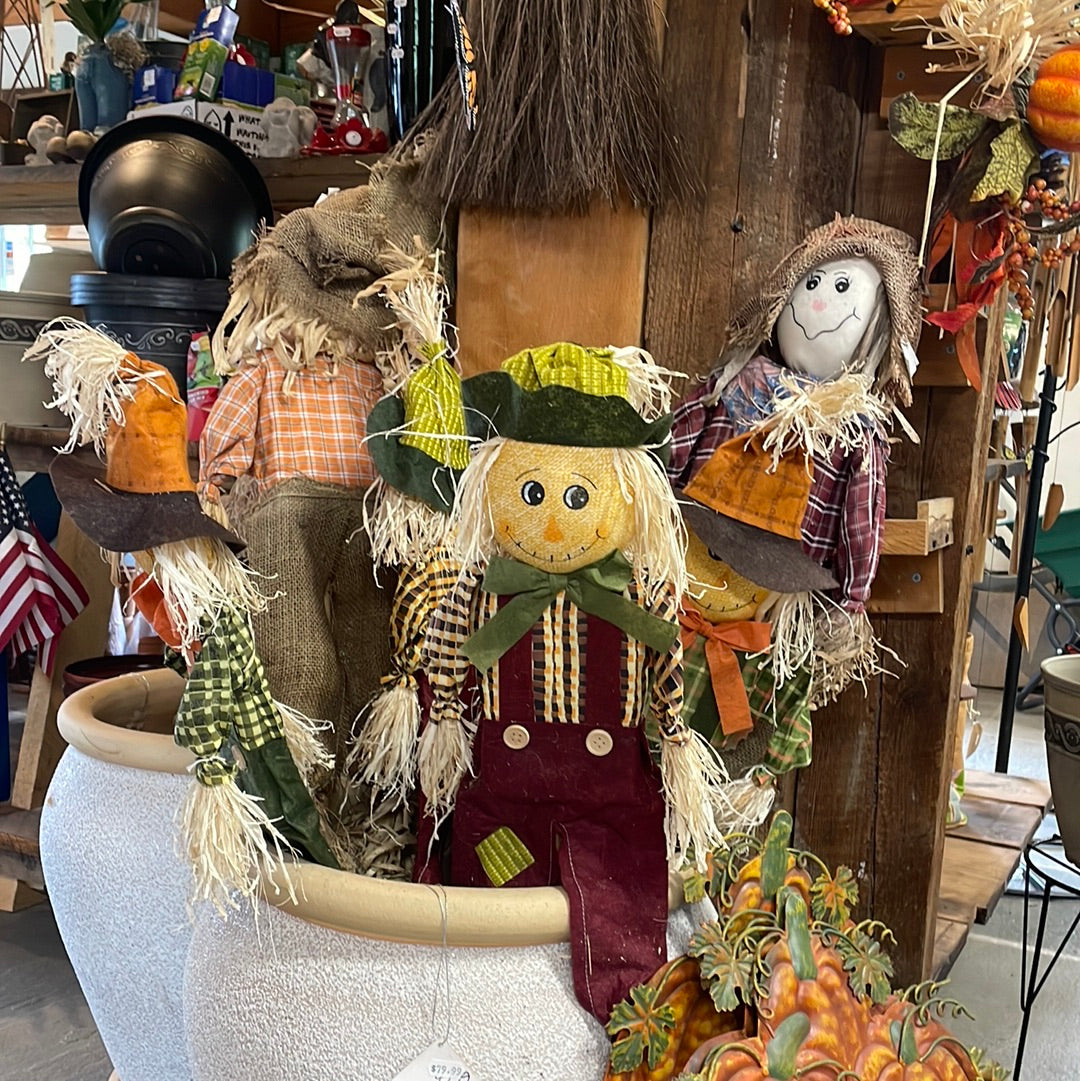 Assorted Staked Scarecrow