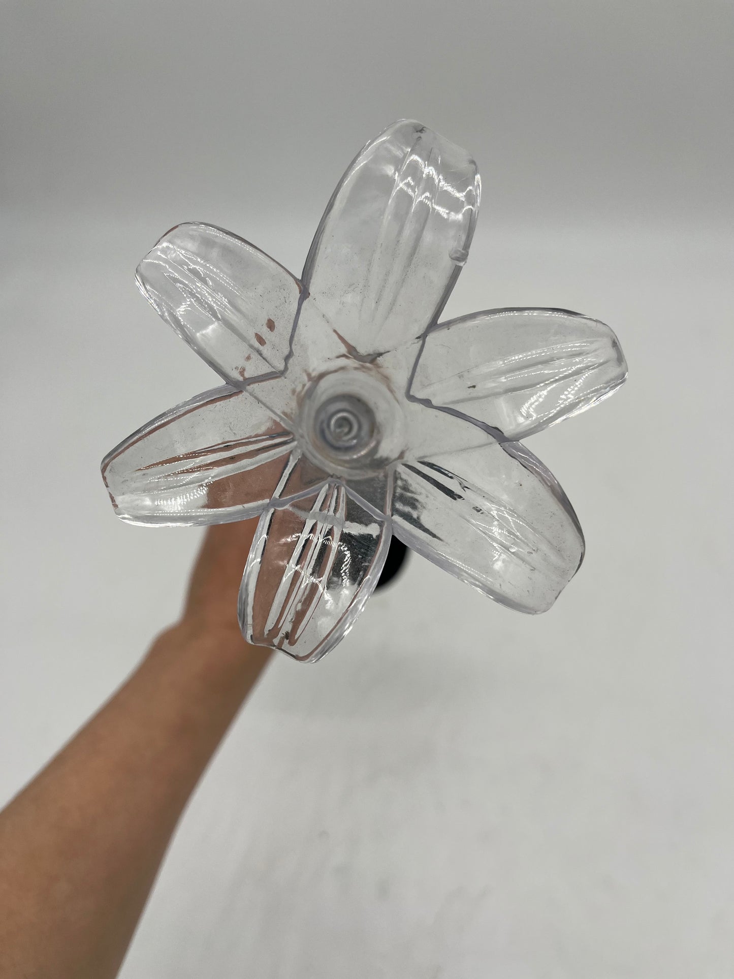 Lilly Solar Stake Lights – Mandy Spring Farm Nursery, Inc.