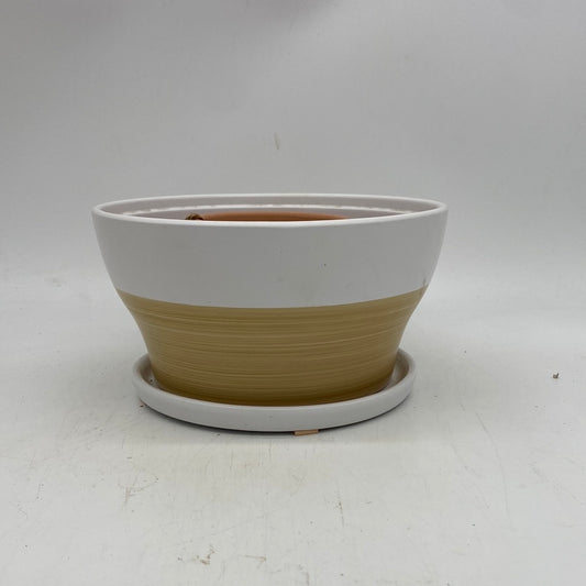 Self-Watering Bowl
